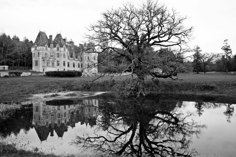 Le château du Brossay se reflétant dans l'eau, en noir et blanc